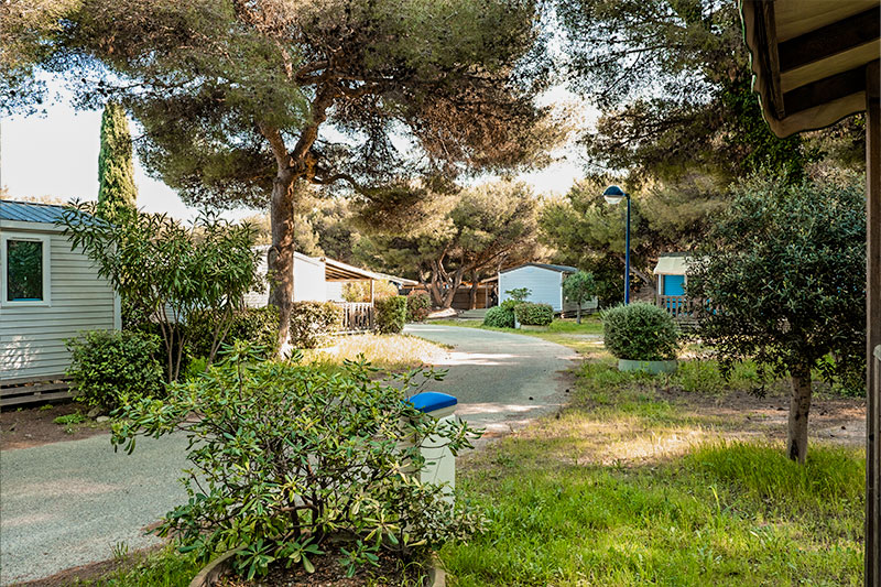 camping nature et famille