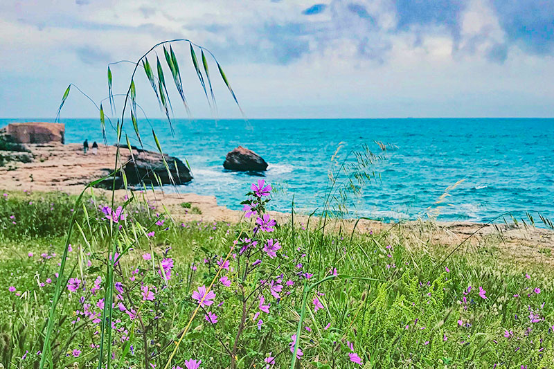 camping nature proche de martigues