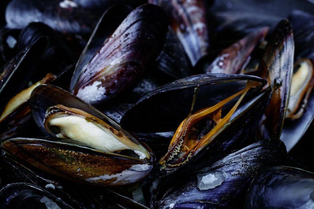 residence vacances soiree theme martigues