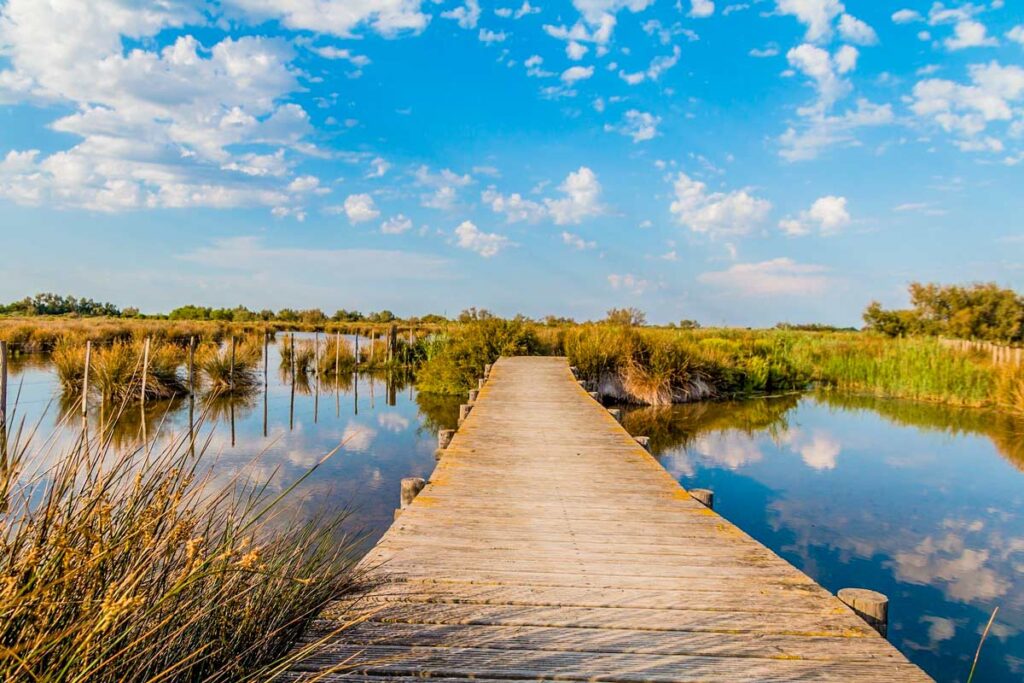 tourisme camargue